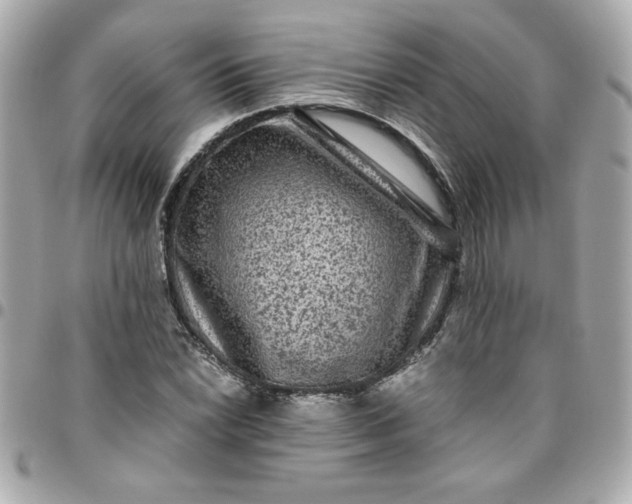 X0000096481022200802071915