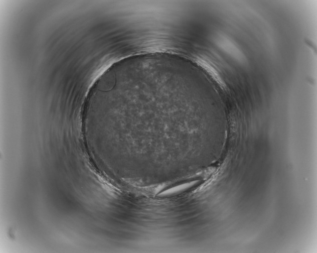 X0000096481023200802071915