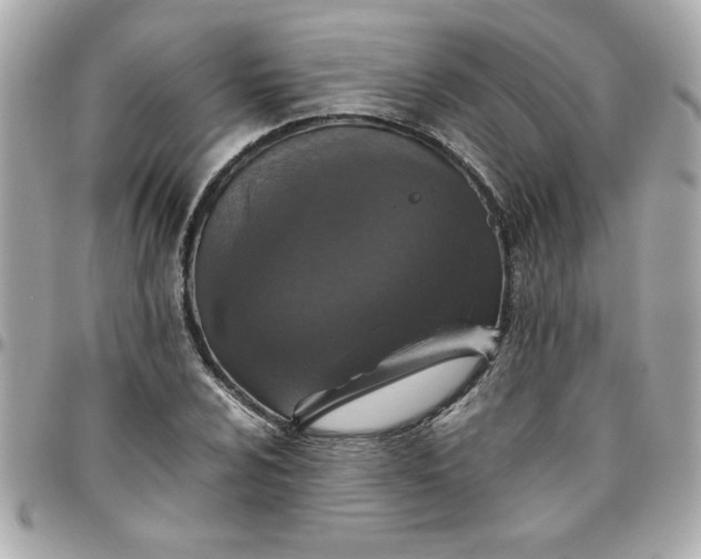 X0000096481024200802071915