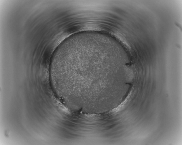 X0000096481025200802071915