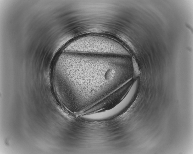 X0000096481026200802071915