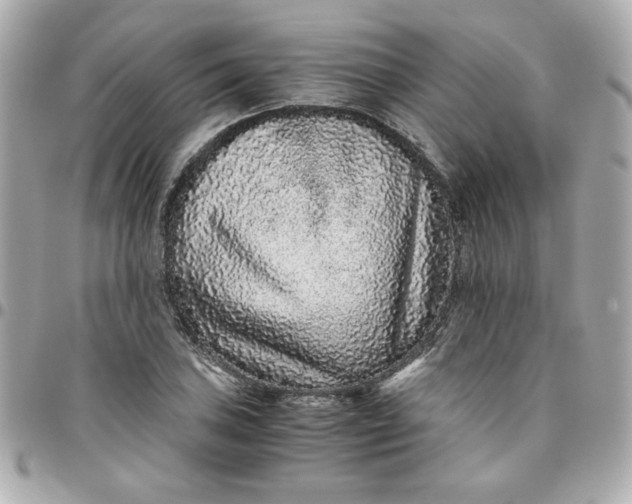 X0000096481027200802071915