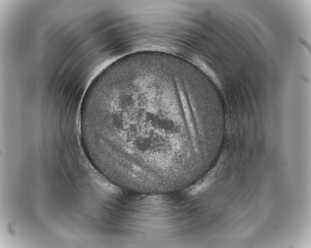 X0000096481028200802071915