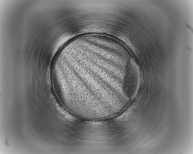 X0000096481030200802071915