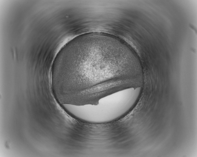 X0000096481032200802071915