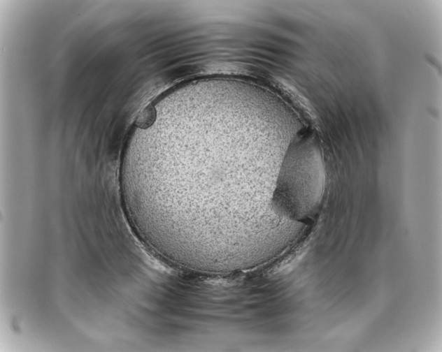 X0000096481033200802071915