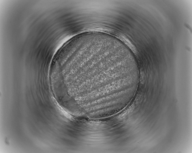 X0000096481036200802071915