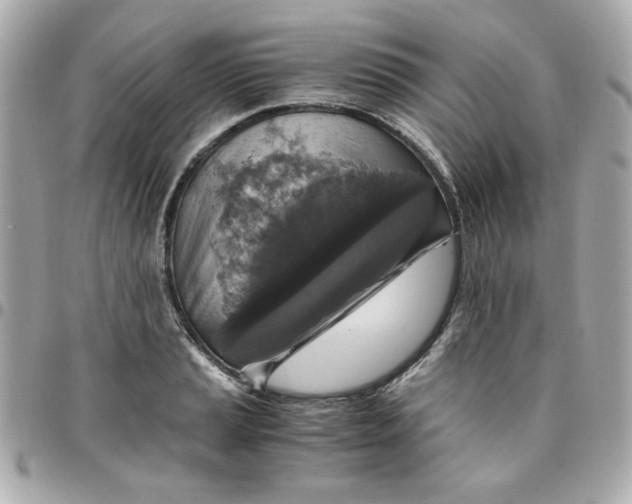 X0000096481037200802071915