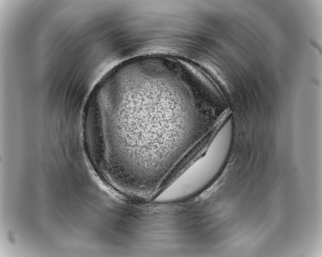 X0000096481038200802071915