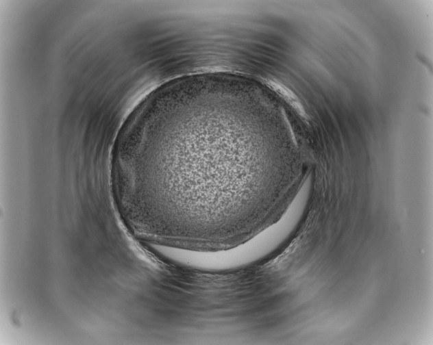 X0000096481039200802071915