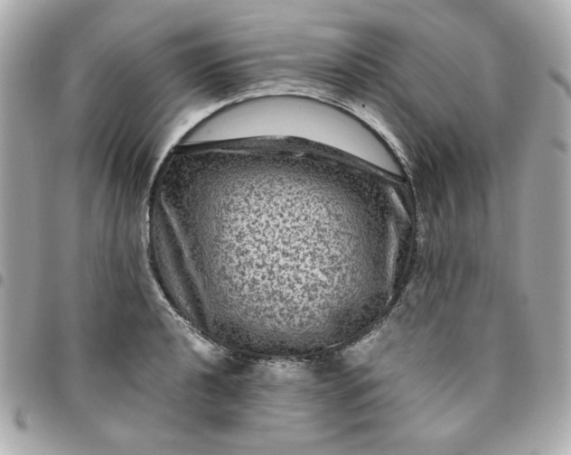 X0000096481040200802071915