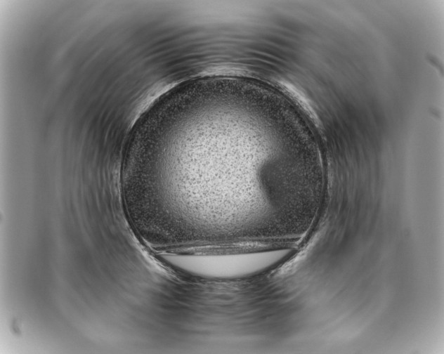 X0000096481041200802071915