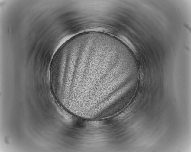 X0000096481044200802071915