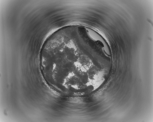 X0000096481045200802071915