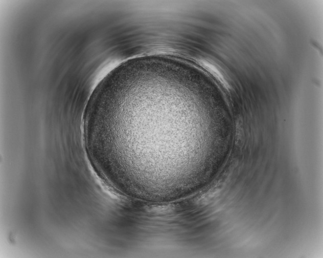 X0000096481047200802071915