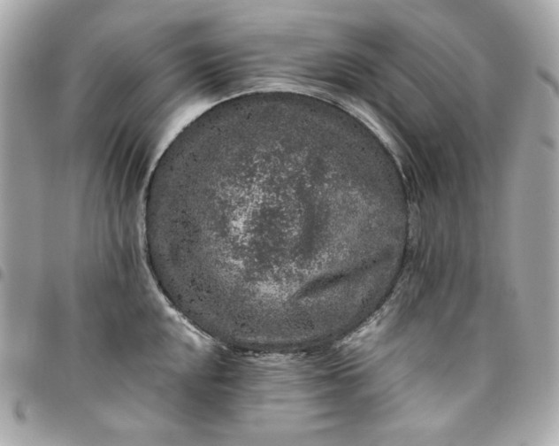 X0000096481048200802071915