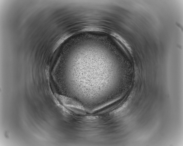 X0000096481049200802071915