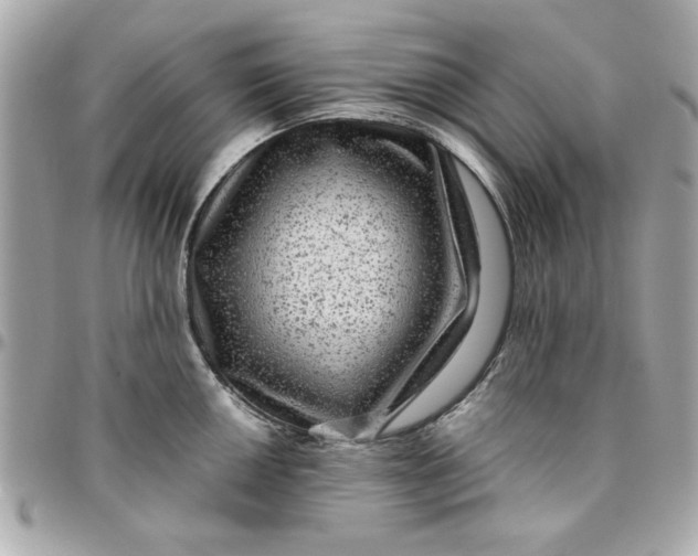 X0000096481050200802071915