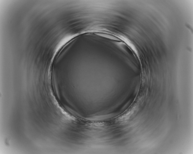 X0000096481053200802071915