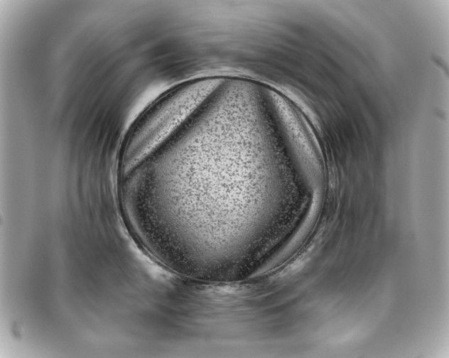 X0000096481054200802071915