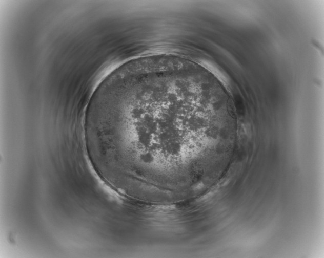 X0000096481055200802071915