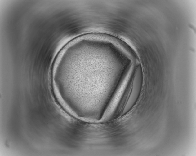 X0000096481056200802071915