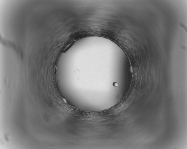 X0000096481057200802071914