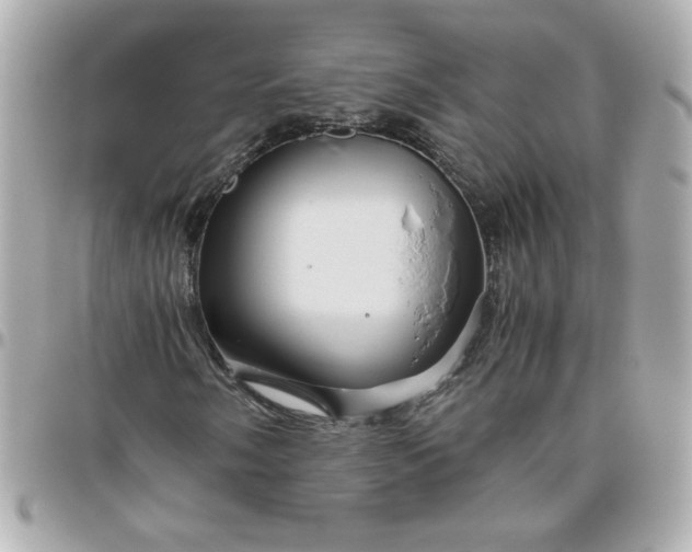 X0000096481058200802071914