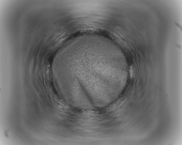 X0000096481059200802071914