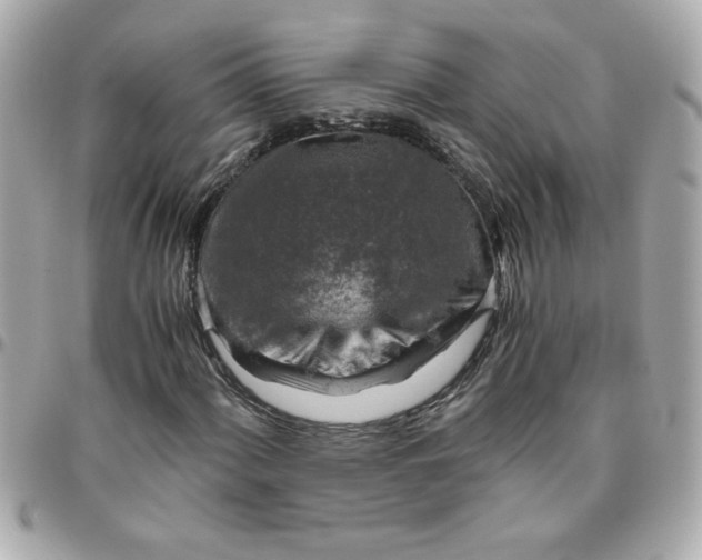 X0000096481060200802071914