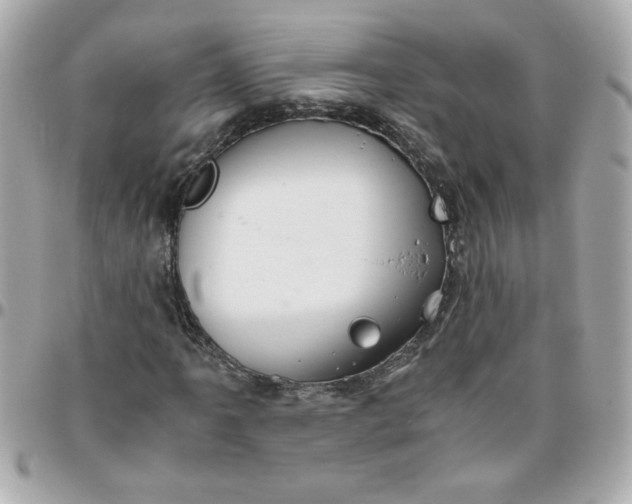 X0000096481061200802071914