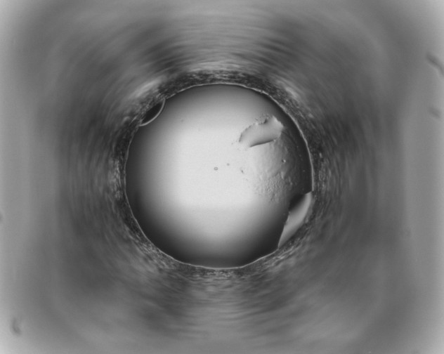 X0000096481062200802071914