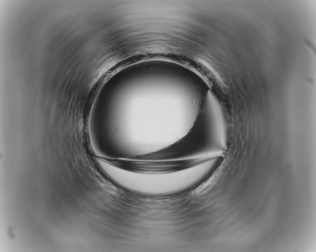 X0000096481065200802071914