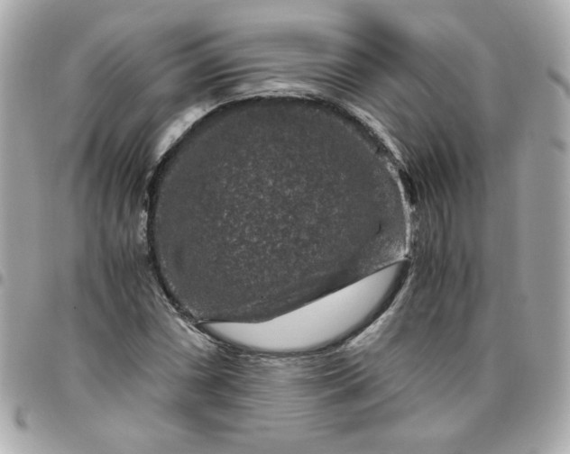 X0000096481066200802071914