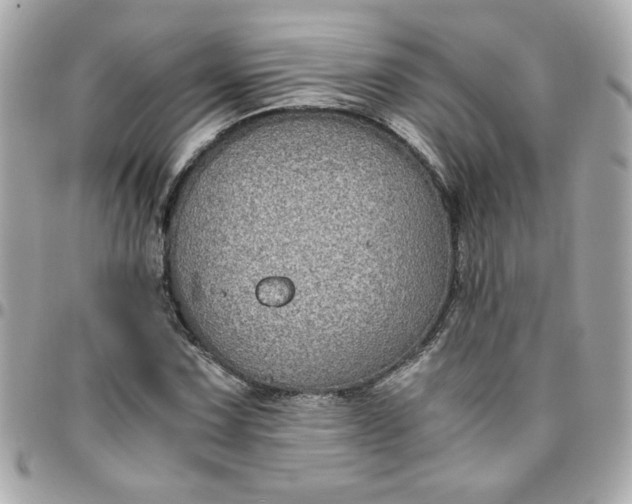 X0000096481067200802071914