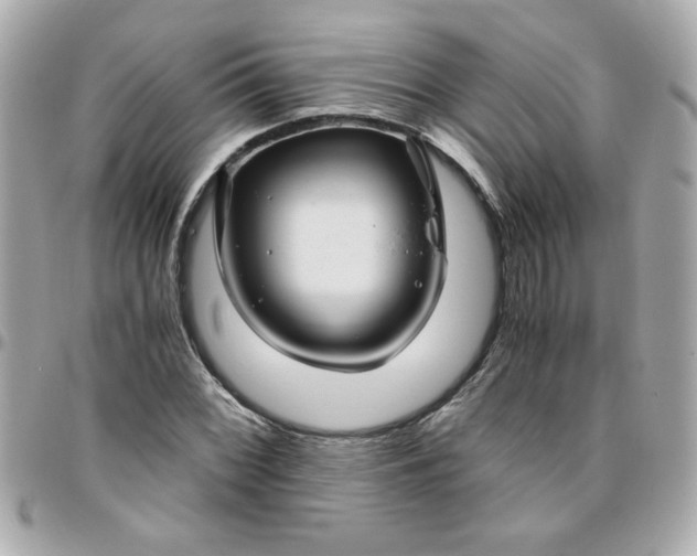 X0000096481068200802071914