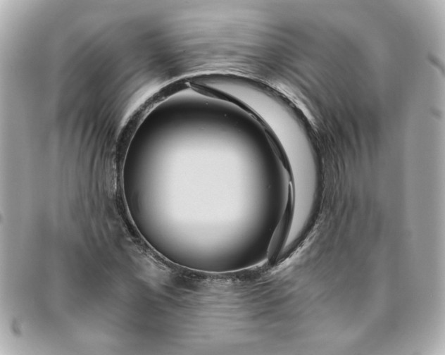 X0000096481069200802071914