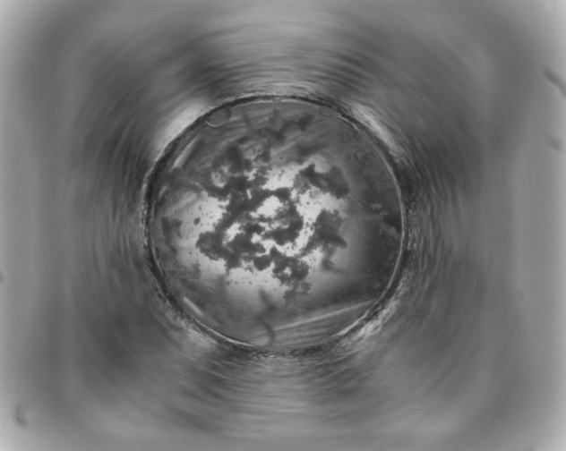 X0000096481071200802071914