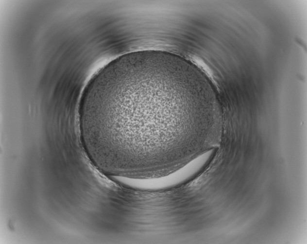 X0000096481072200802071914