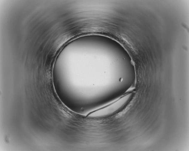 X0000096481073200802071914