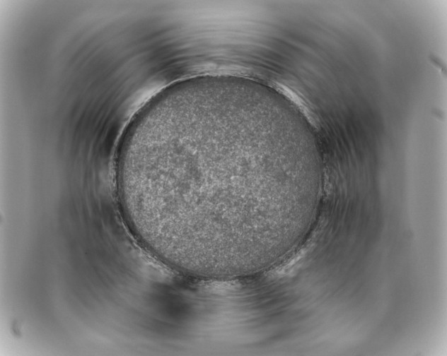 X0000096481074200802071914