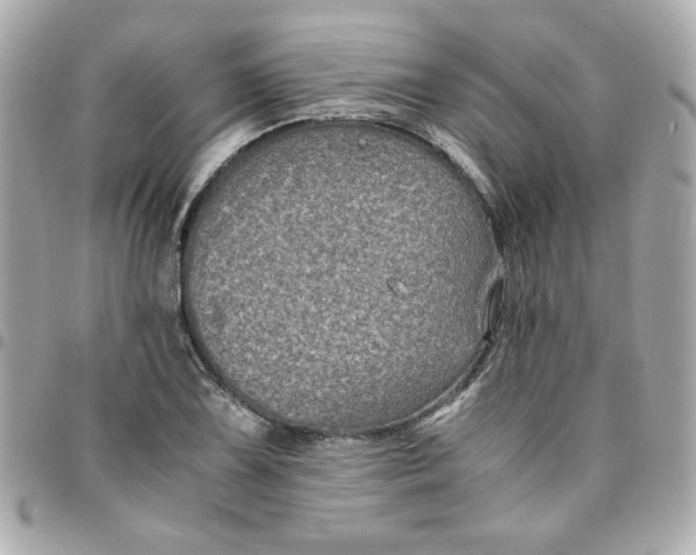 X0000096481075200802071914