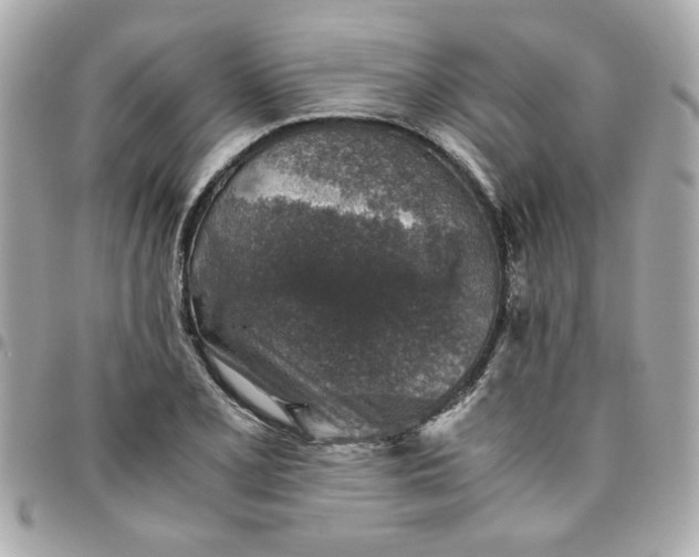 X0000096481077200802071914