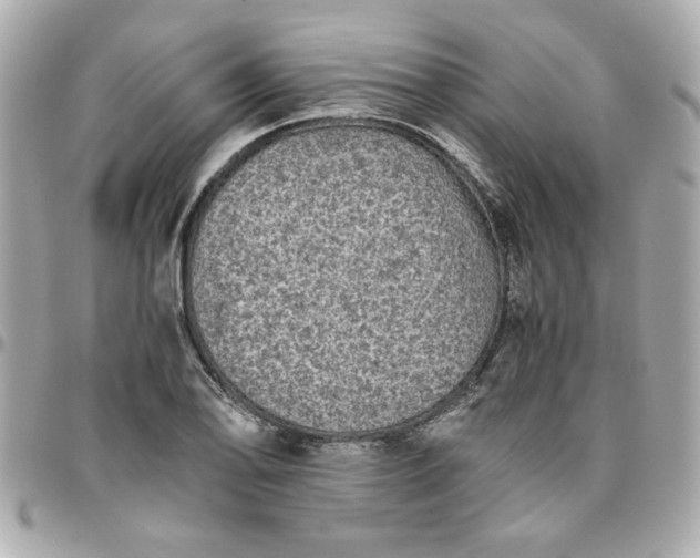 X0000096481078200802071914