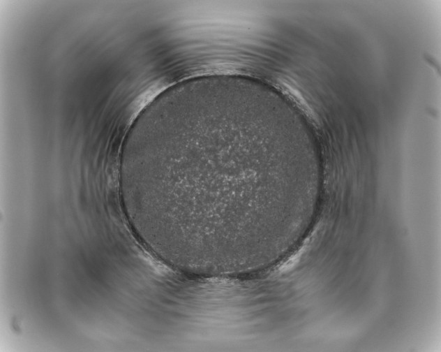 X0000096481081200802071914