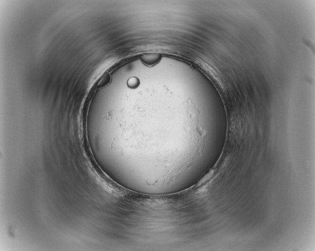 X0000096481082200802071914