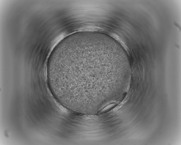 X0000096481083200802071914