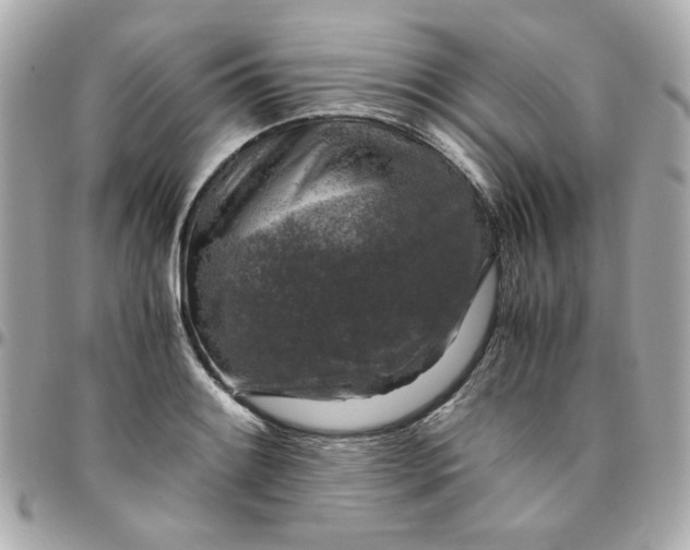 X0000096481084200802071914