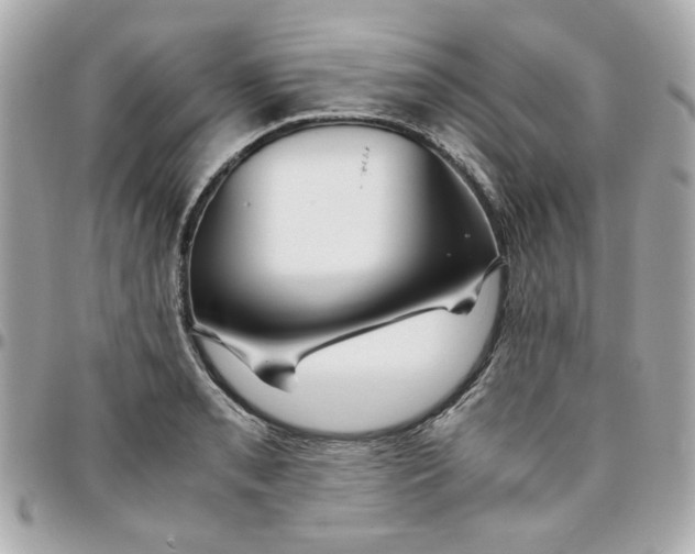 X0000096481085200802071914