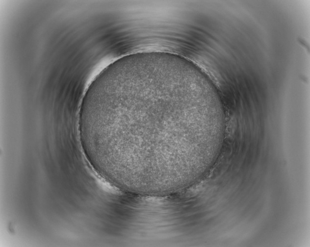 X0000096481086200802071914